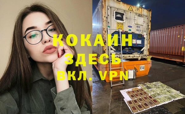 PSILOCYBIN Вязники