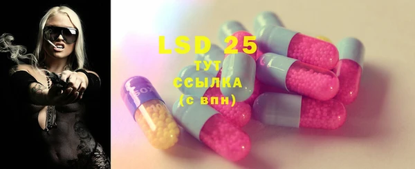 PSILOCYBIN Вязники