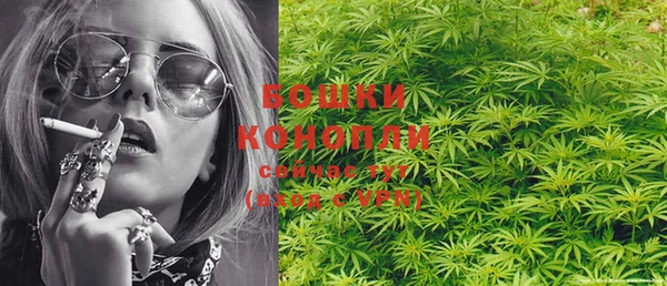 PSILOCYBIN Вязники